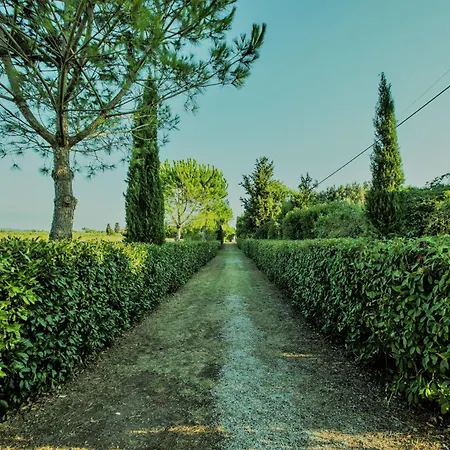 Podere Simonetta - A7 Semesterbostad Cecina (Livorno)