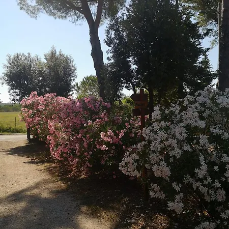 Podere Simonetta - A7 Holiday home *